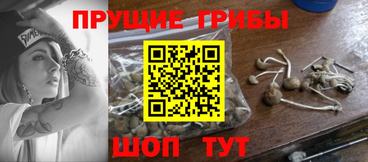 Волжский  Псилоцибиновые грибы ЛСД  Вход с VPN 